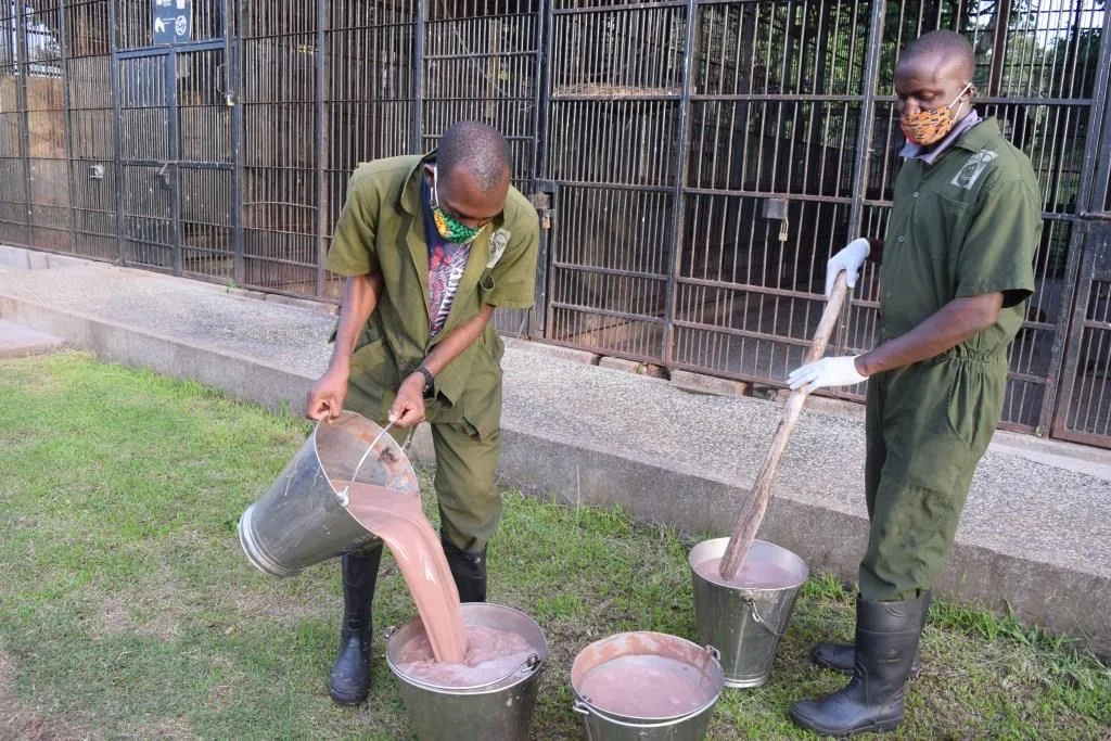2024 Annual Impact Report: A Year of Milestones