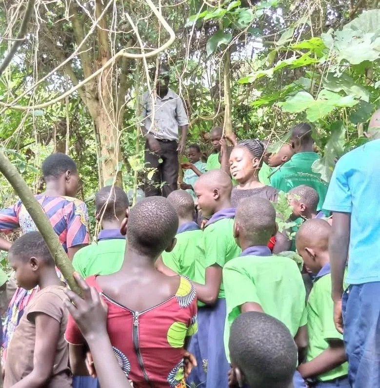 Ngamba Goes Green: New Solar Power System Energizes the Sanctuary
